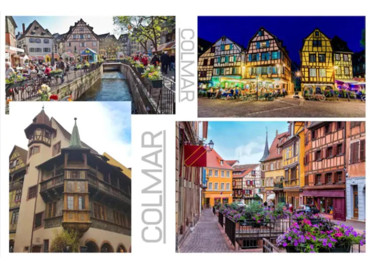 Thann Colmar - 1 Chambre - 5 Pers - Parking Luaran gambar